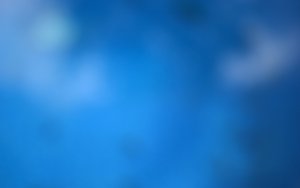 神经网络搜索相关资源最全整理